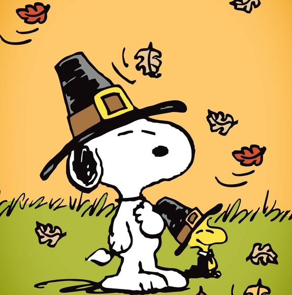 Meet your Posher, Stephen - Picture 1 of 1